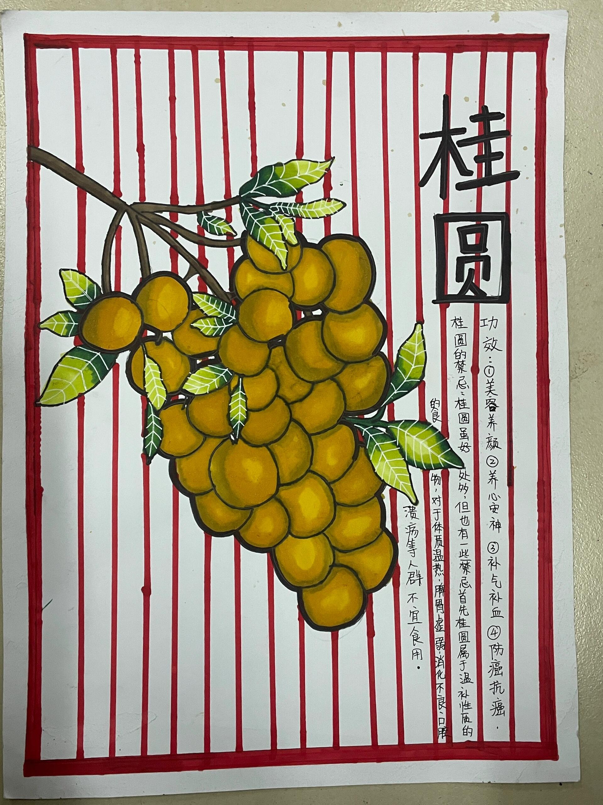 中草药儿童绘画