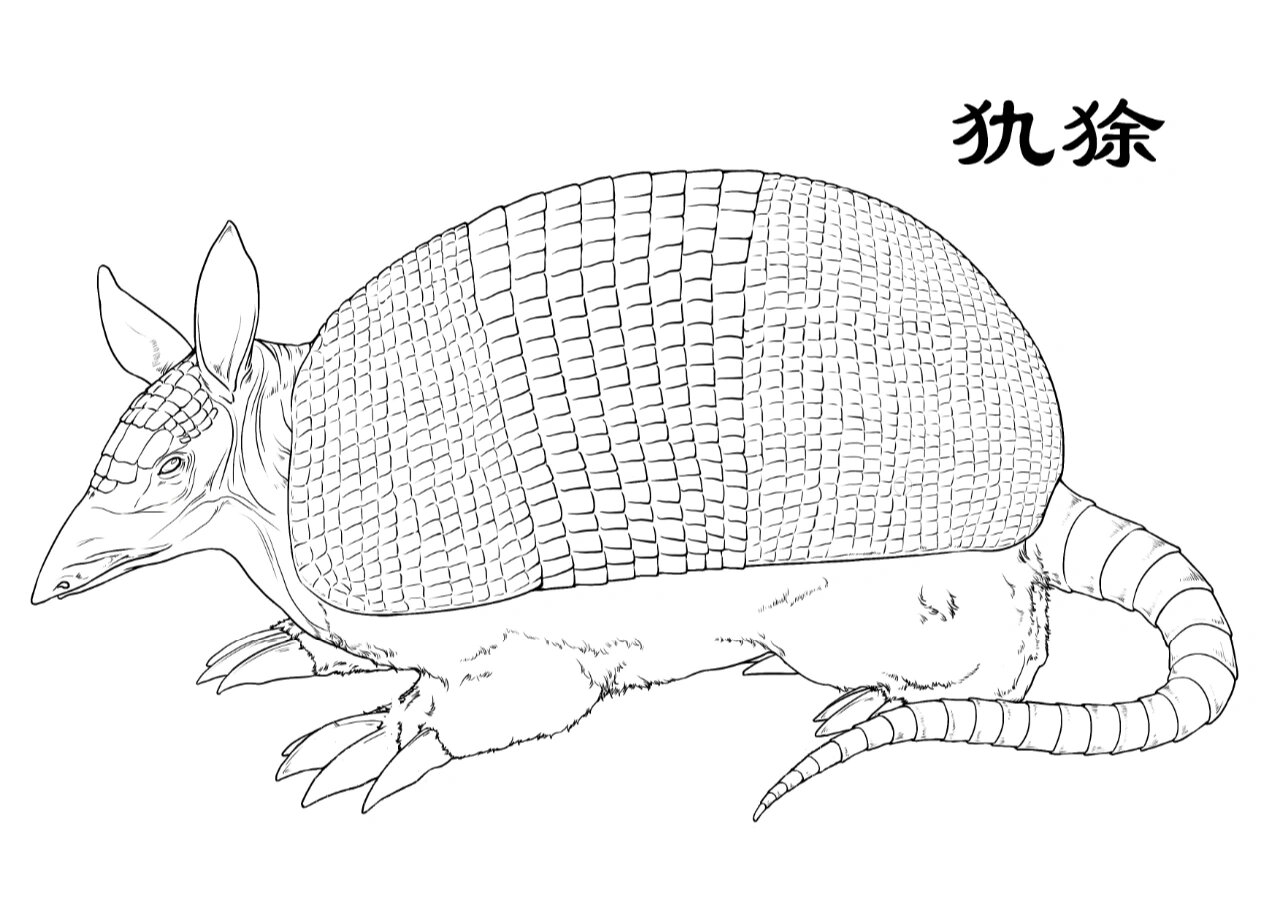 古代巨型犰狳图片