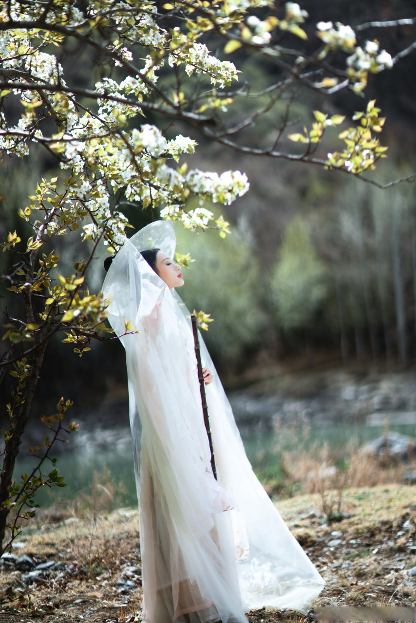 《梨花落》春尽,春意未尽.无需伤春,且自从容.