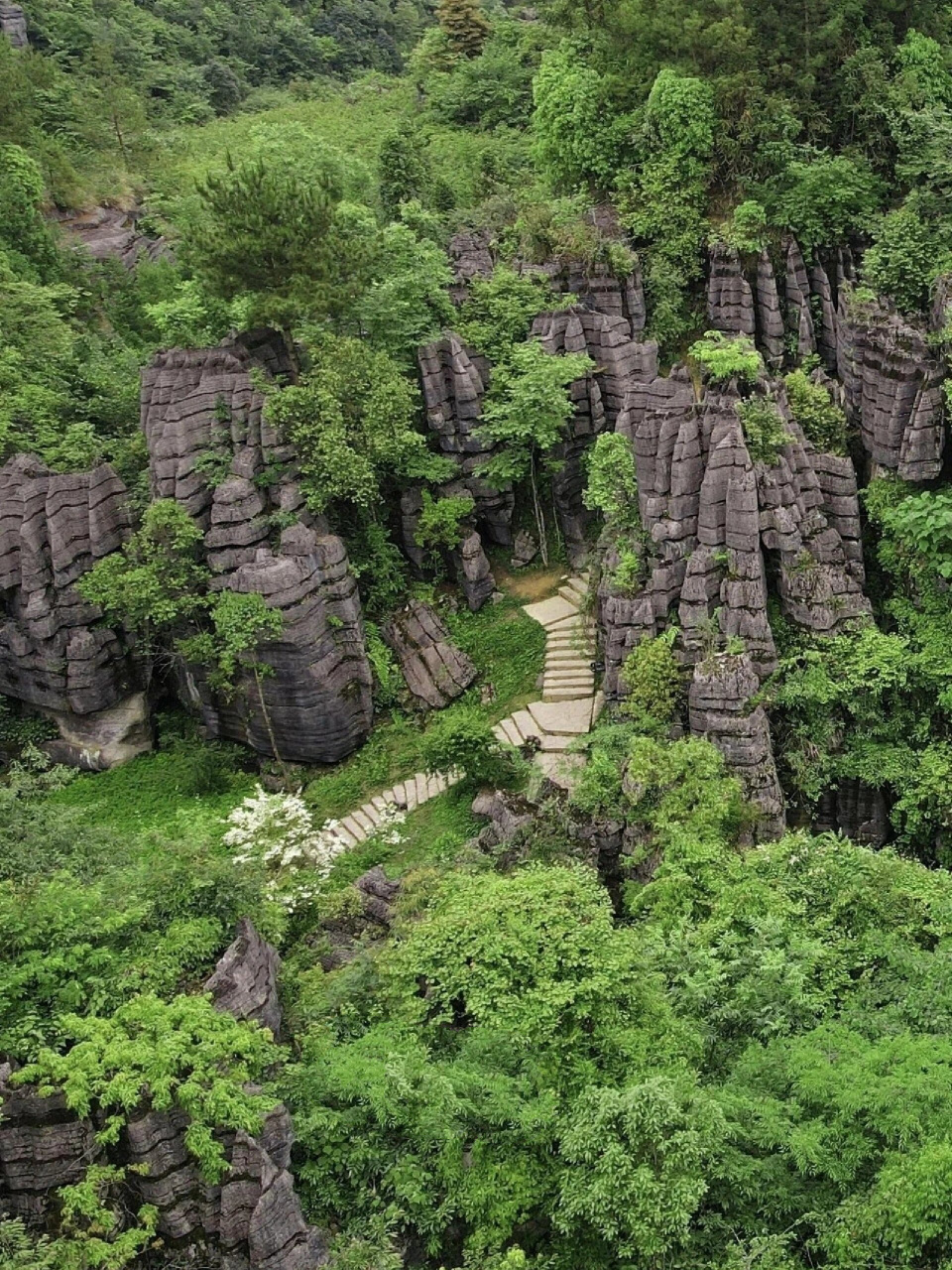 恩施旅游‖小众出片景点——梭布垭石林 景区简介:恩施市梭布垭石林被