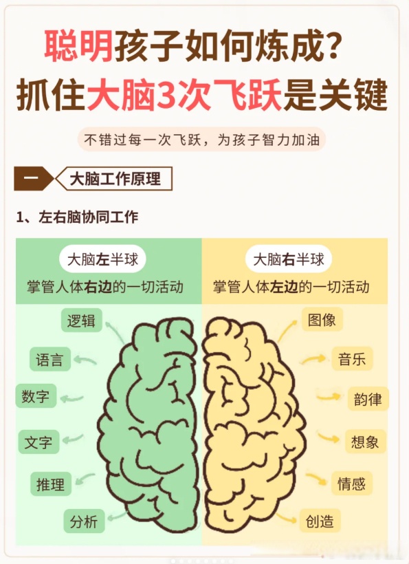 脑部发育不良(脑部发育不良导致癫痫)