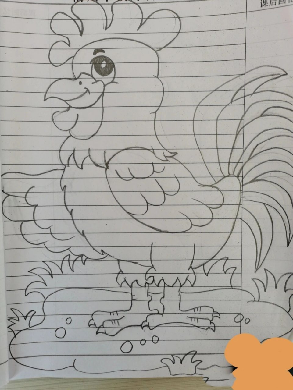 画大公鸡的简笔画图片