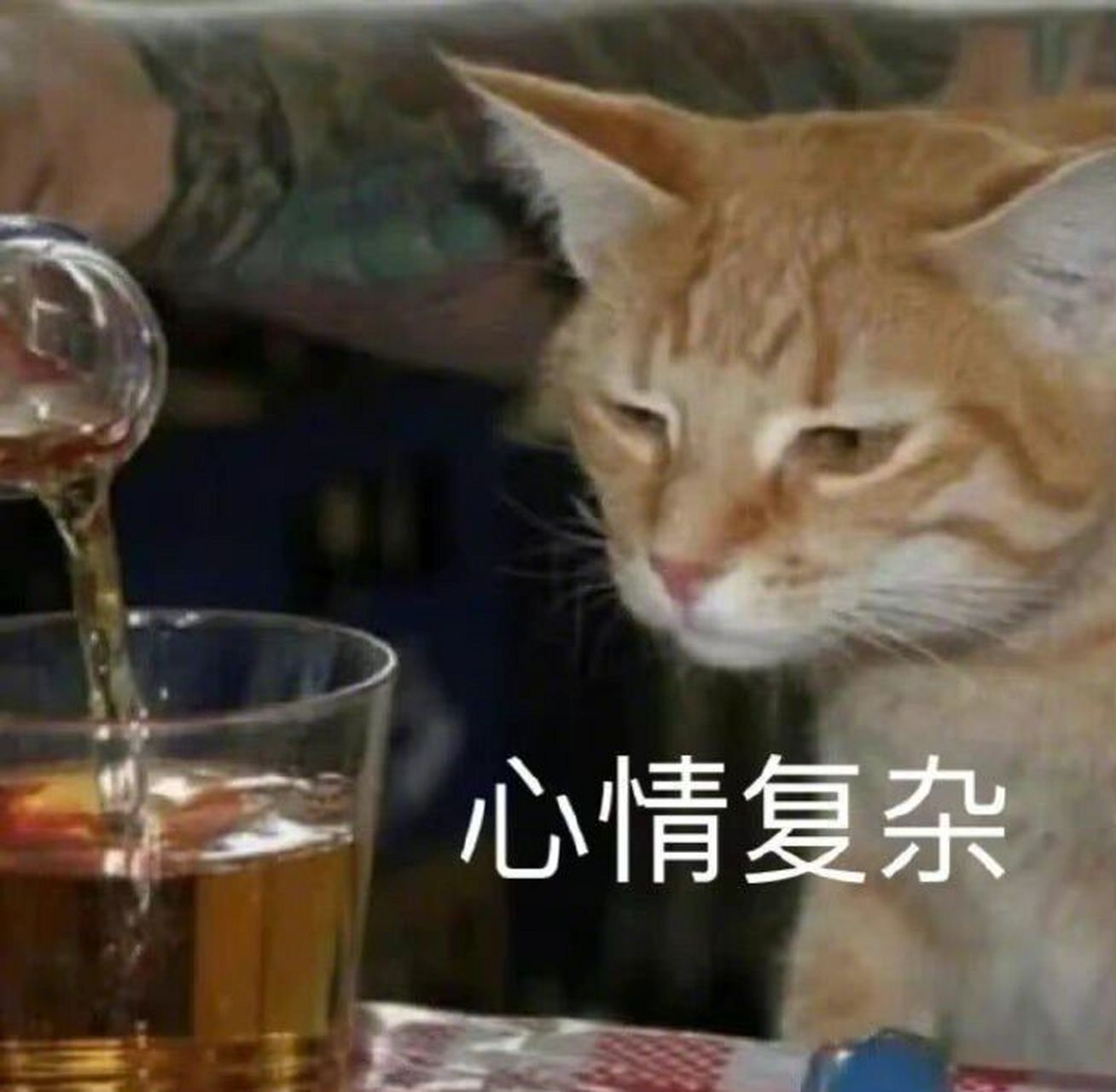 表情包也懒得翻 累 心累 脑已空 话不想说 配图都不想找 表情包也懒得
