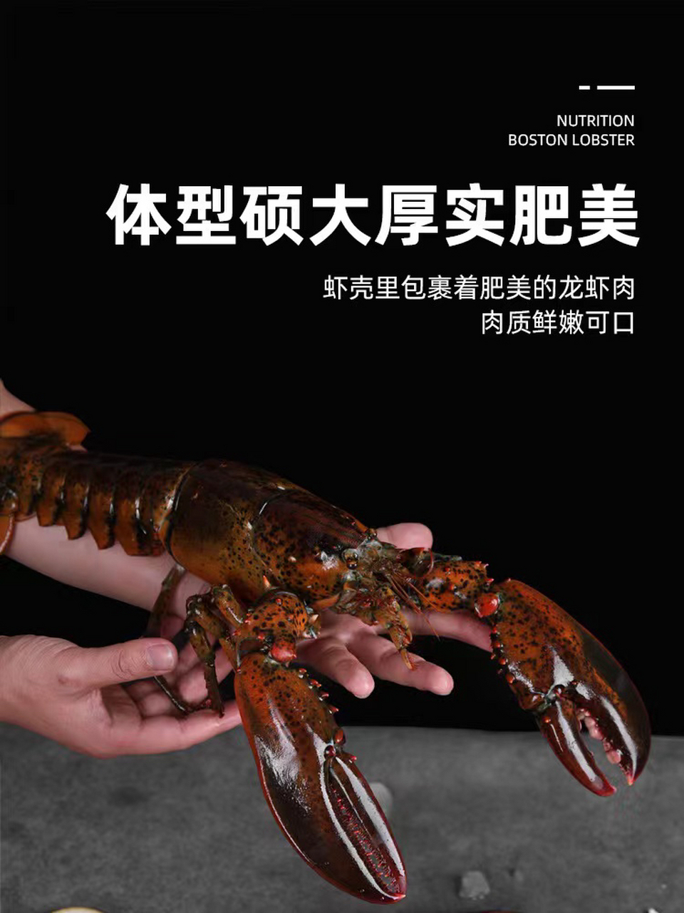 波龙,澳龙,花龙.