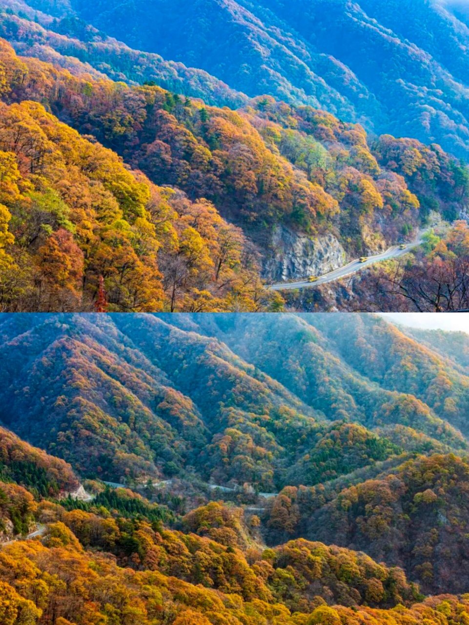 武汉赏秋,11月4-5号马鬃岭红岭公路赏秋线 96马鬃岭景区位于金寨县