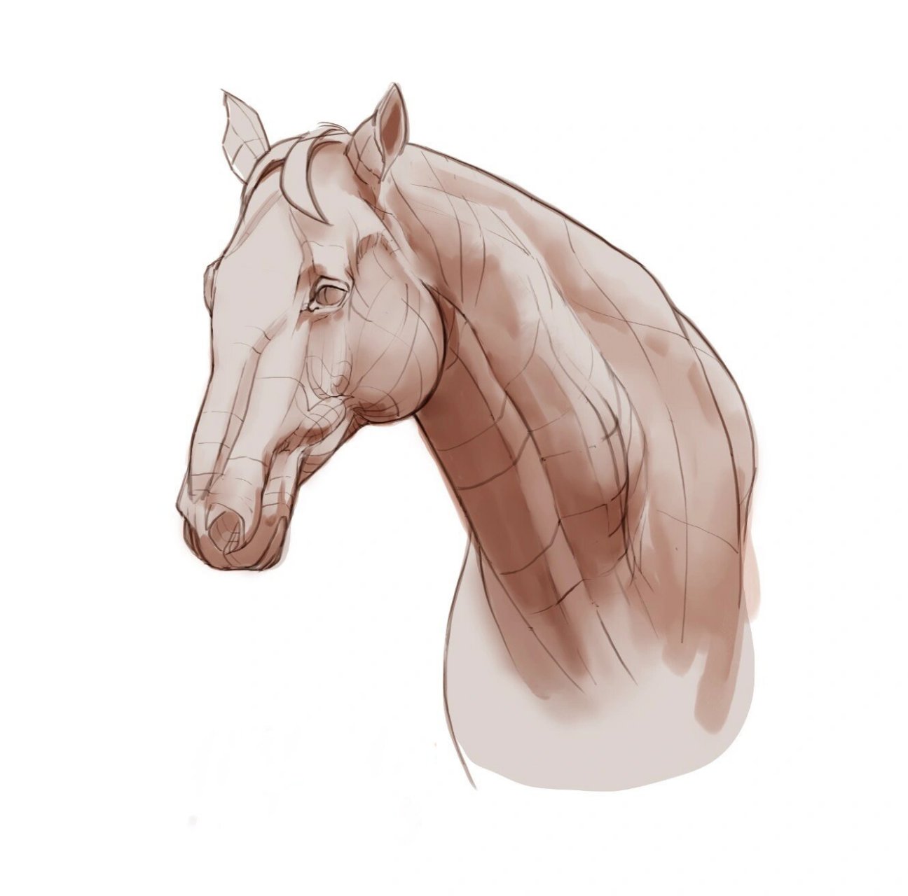 三步画马 1 分析出体块 2 分析体块明暗关系上调子 3 把握体块几何