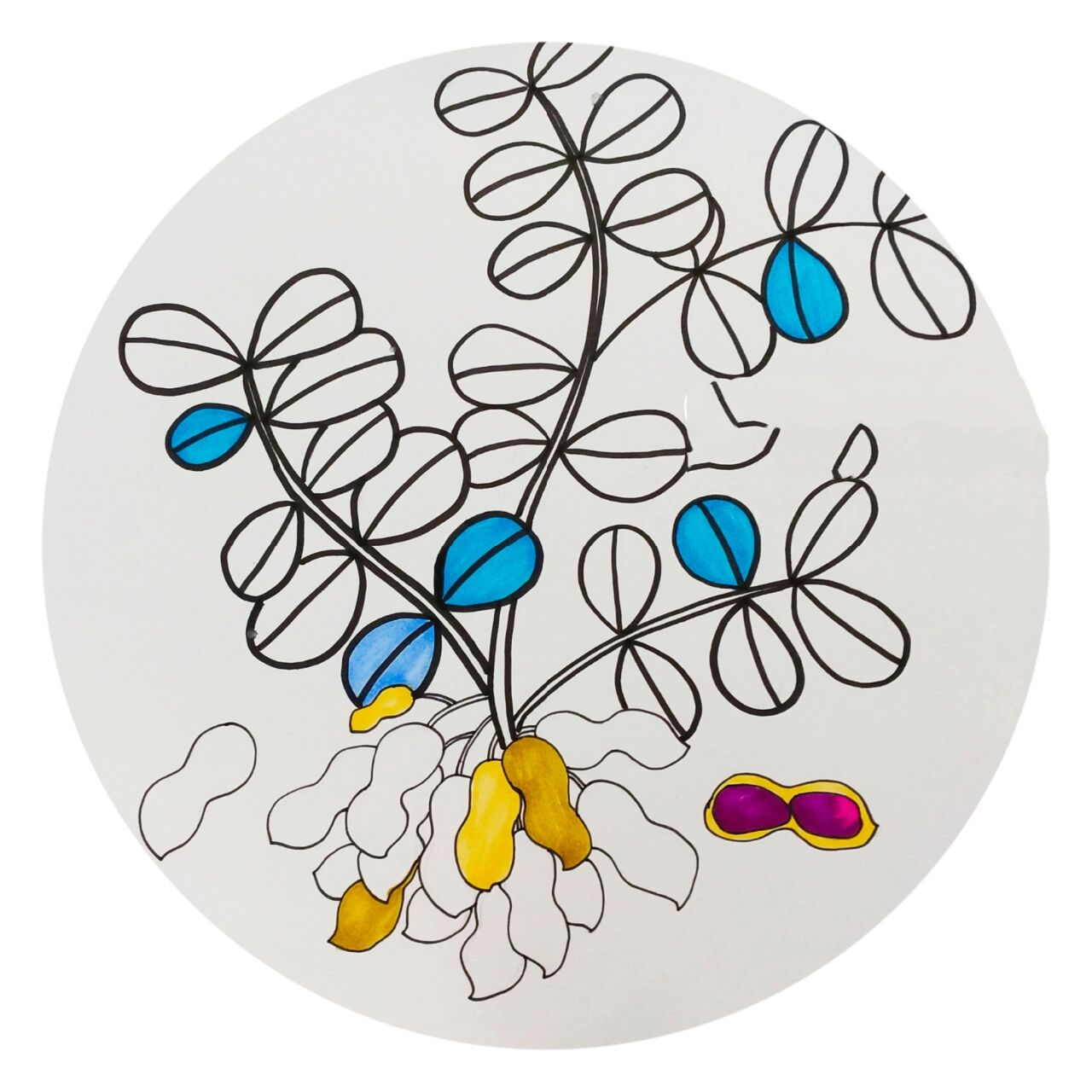 创意儿童画《花生》 适合七岁左右的小朋友