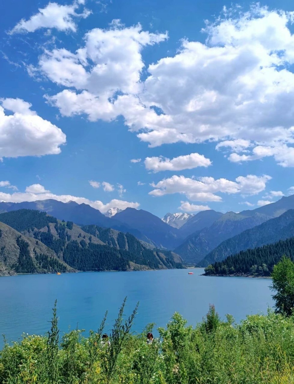 新疆天山天池风景区,作为国家5a级旅游景区,以其高海拔冰碛湖的秀美