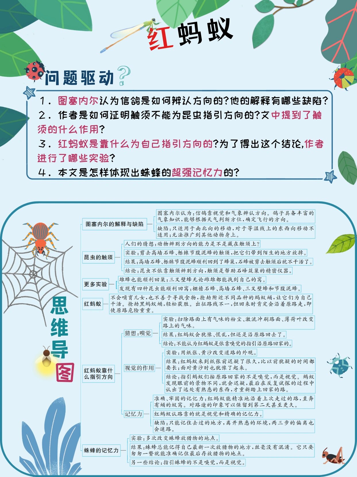 08八上必读《昆虫记》思维导图 重要知识点97 03《昆虫记》是八