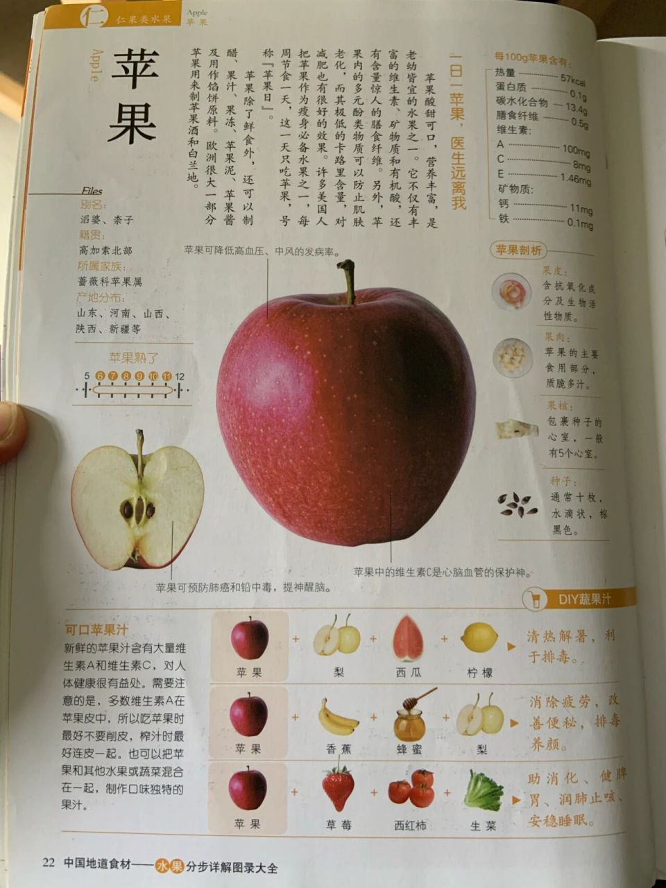 苹果的营养价值及功效 96 一日一苹果,医生远离我 苹果的热量57kcal