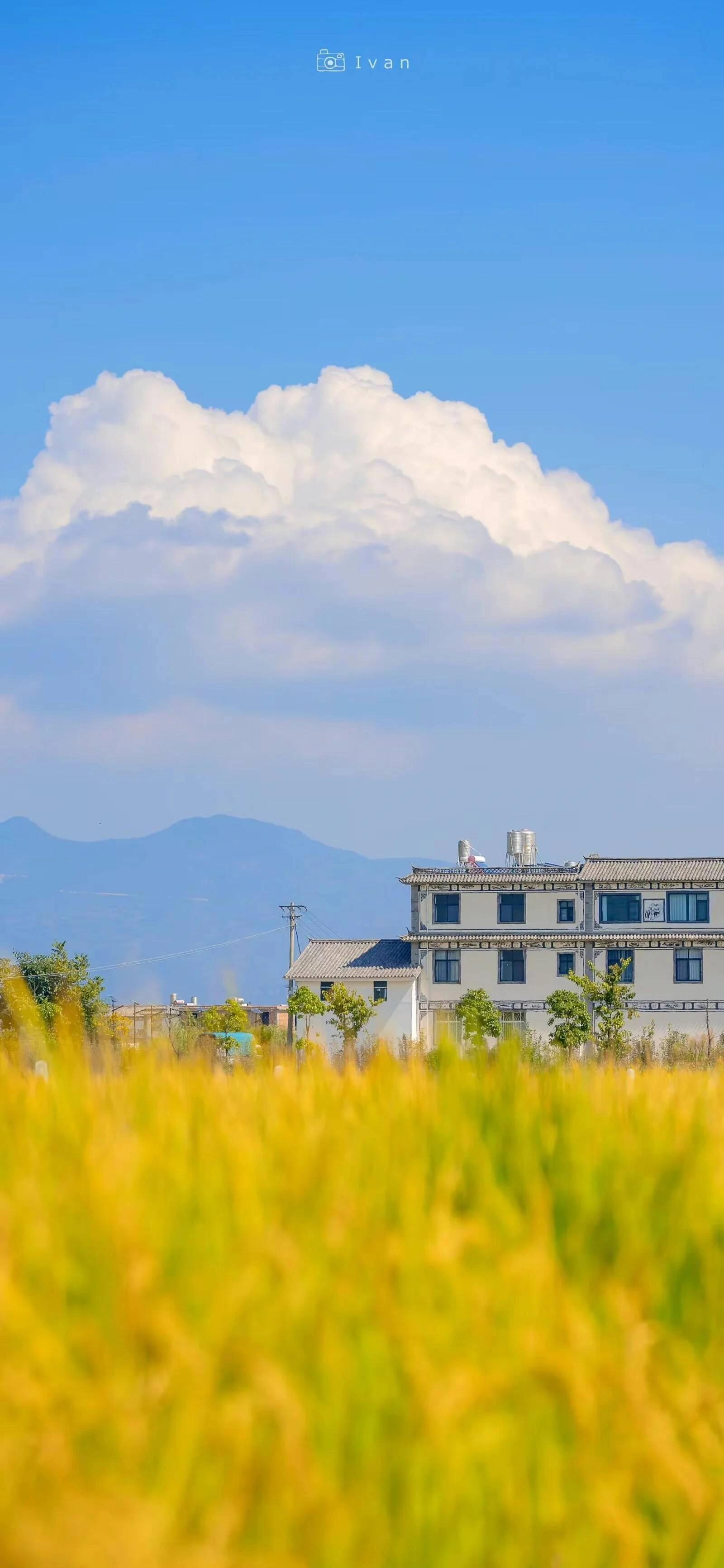 北方秋天田野的景色图片