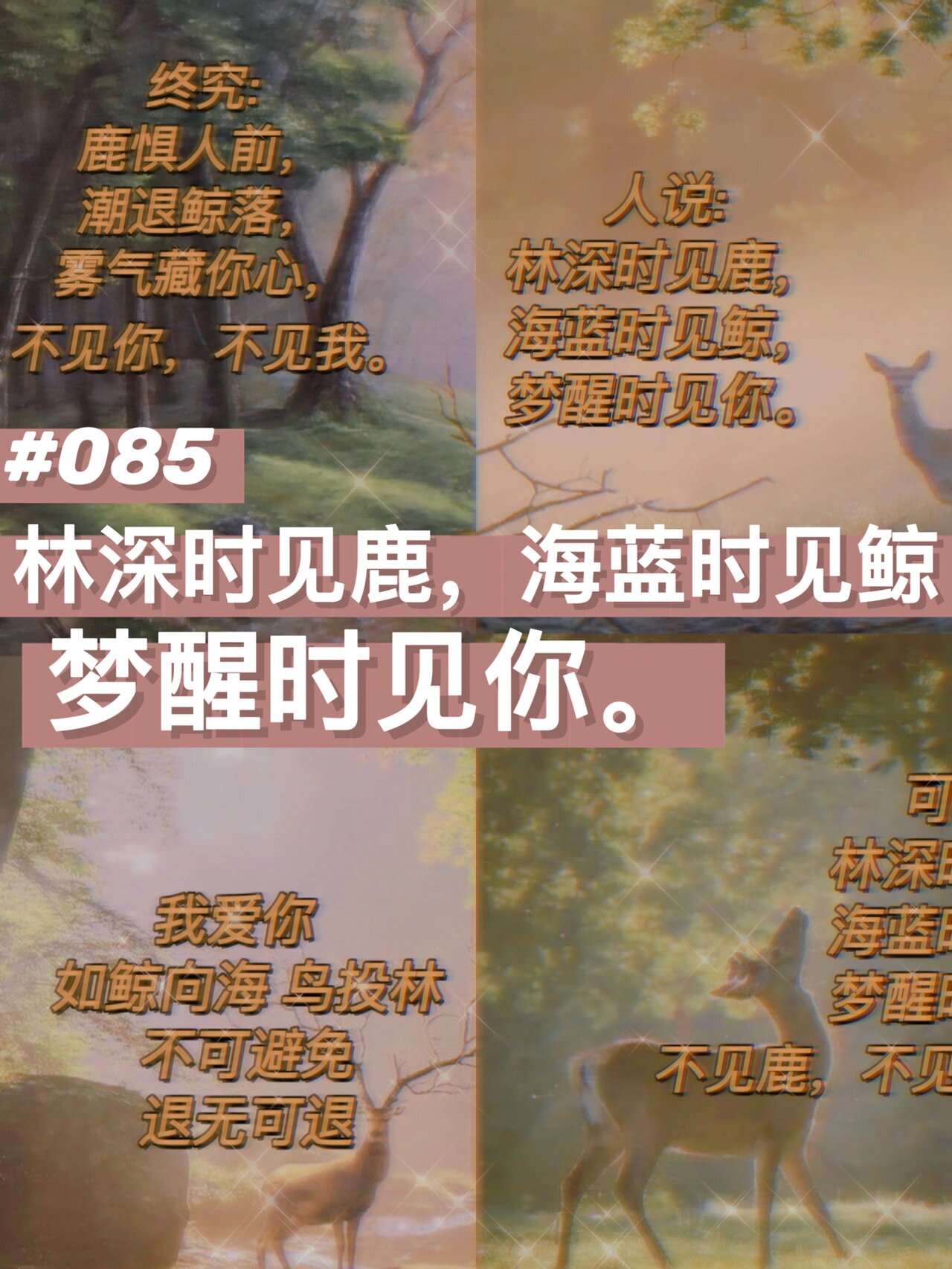 林深时见鹿,海蓝时见鲸,梦醒时见你.