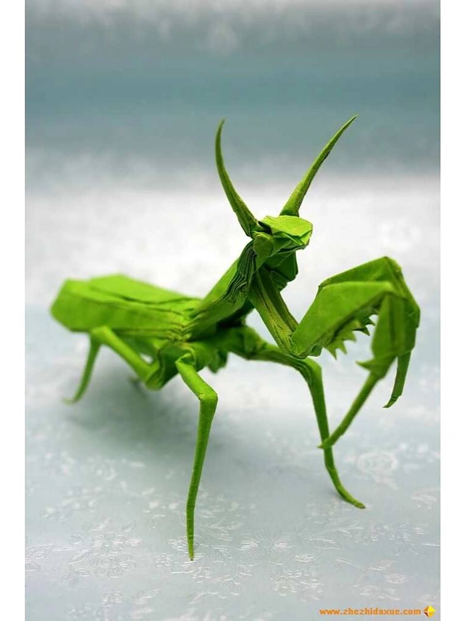 折纸螳螂 一纸成型,不剪不粘!