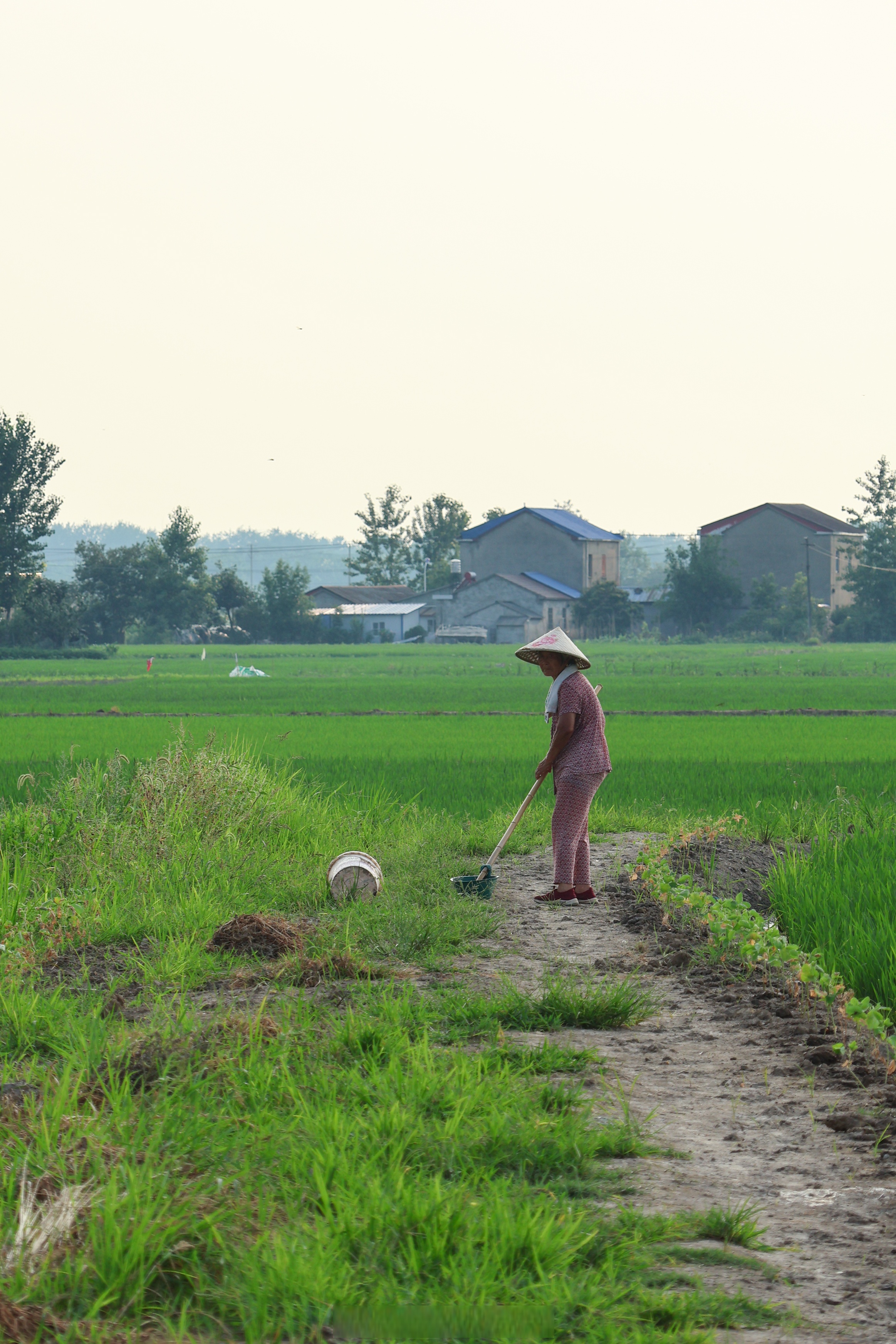 合工大"乡"约盛夏#青春扬帆新时代# 中国大学生在线