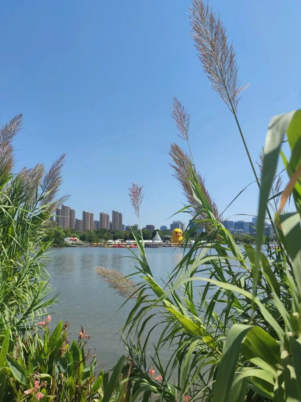 福州遛娃 | 旗山湖公园94 旗山湖公园景色很美,是个宝藏遛娃地