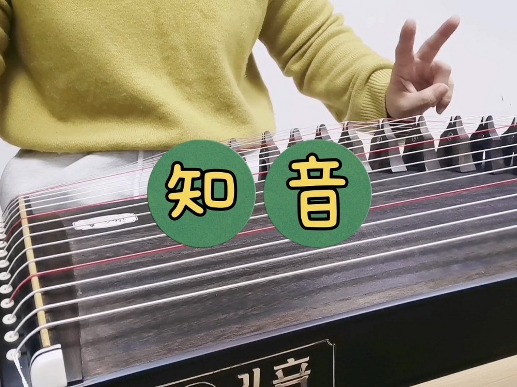 知音 古筝 袁莎版 人生难得一知己,千古知音最难觅.