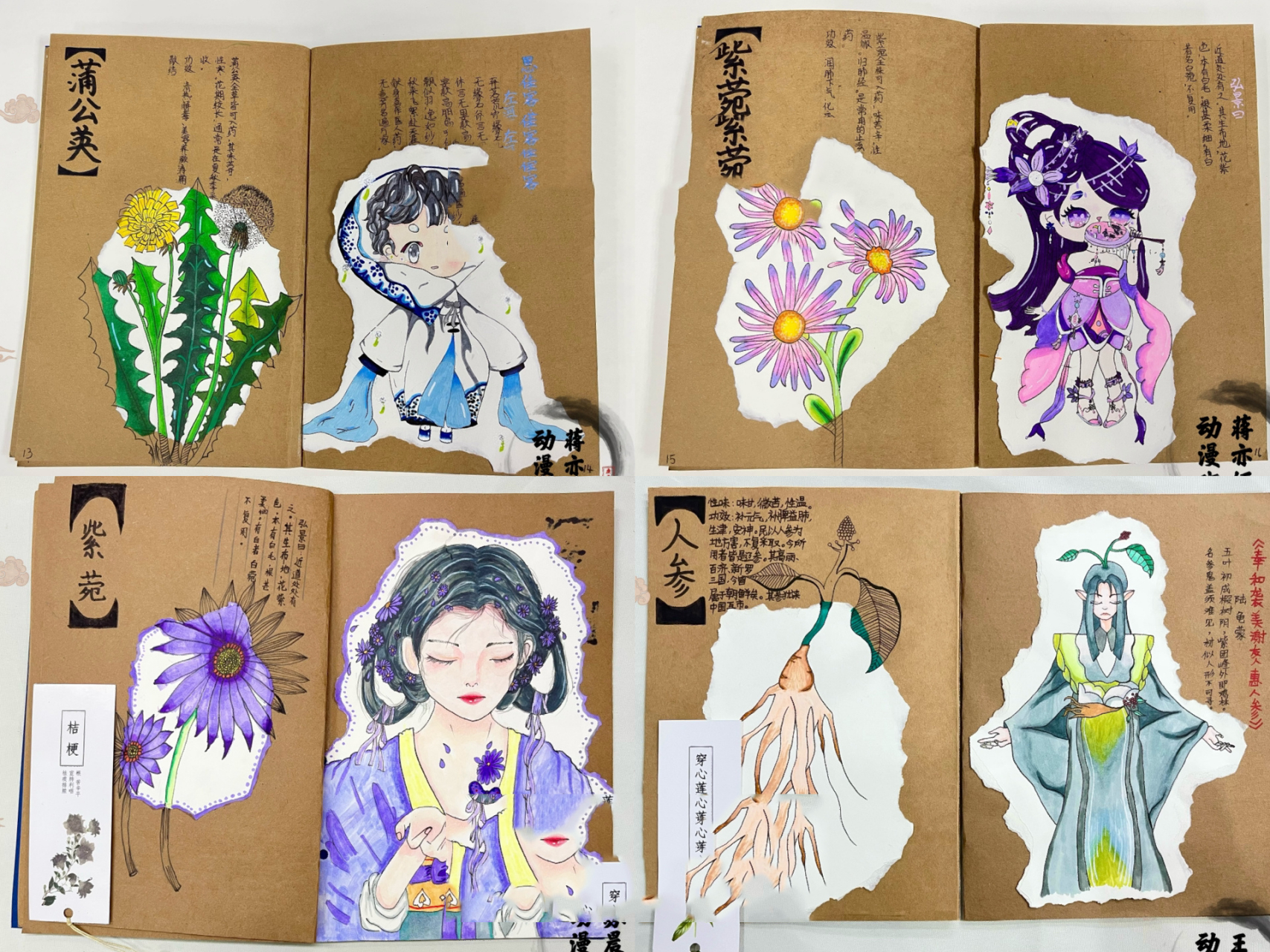 动漫课程 绘本设计《本草纲目》 中药91拟人