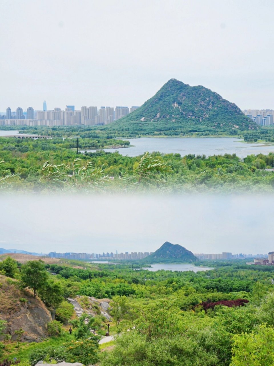 在济南,一定要去一次卧牛山 #笔记灵感# 济南卧牛山公园树木茂密,花海