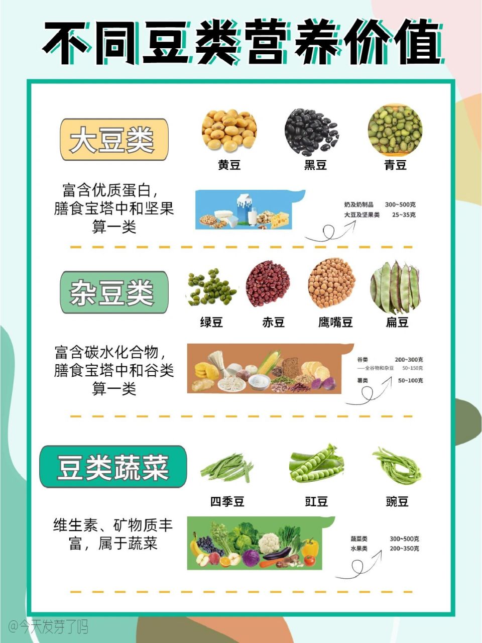 各种豆类的营养成分表图片