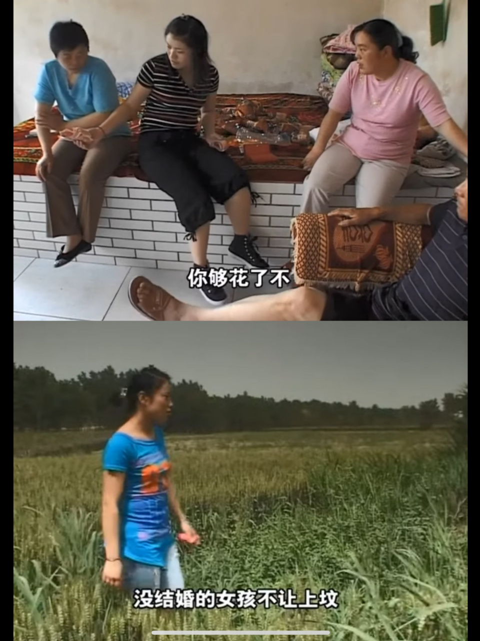 父亲说闺女要是个儿子 就闯出来了 纪录片:麦收(游牧三部曲一) 	 导演