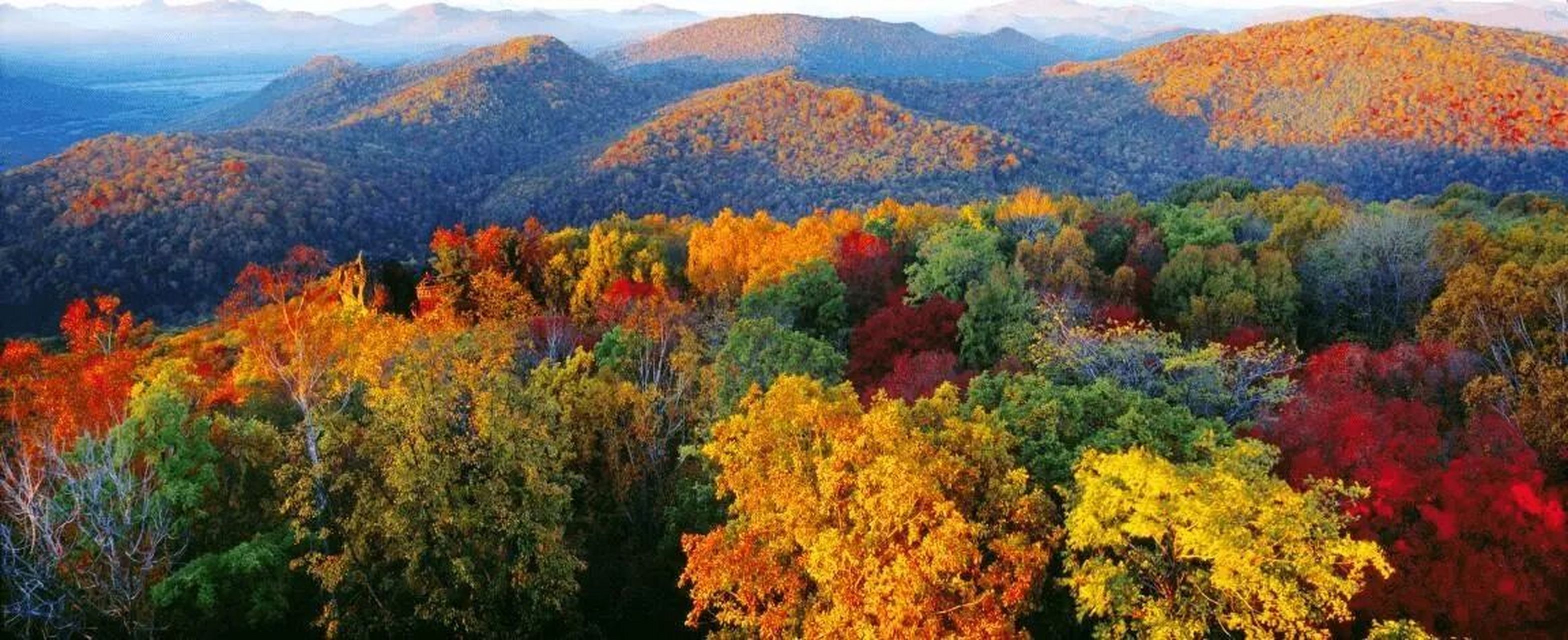 96黑龙江伊春97五花山旅游推荐路线93 五花山 96黑龙江伊春最