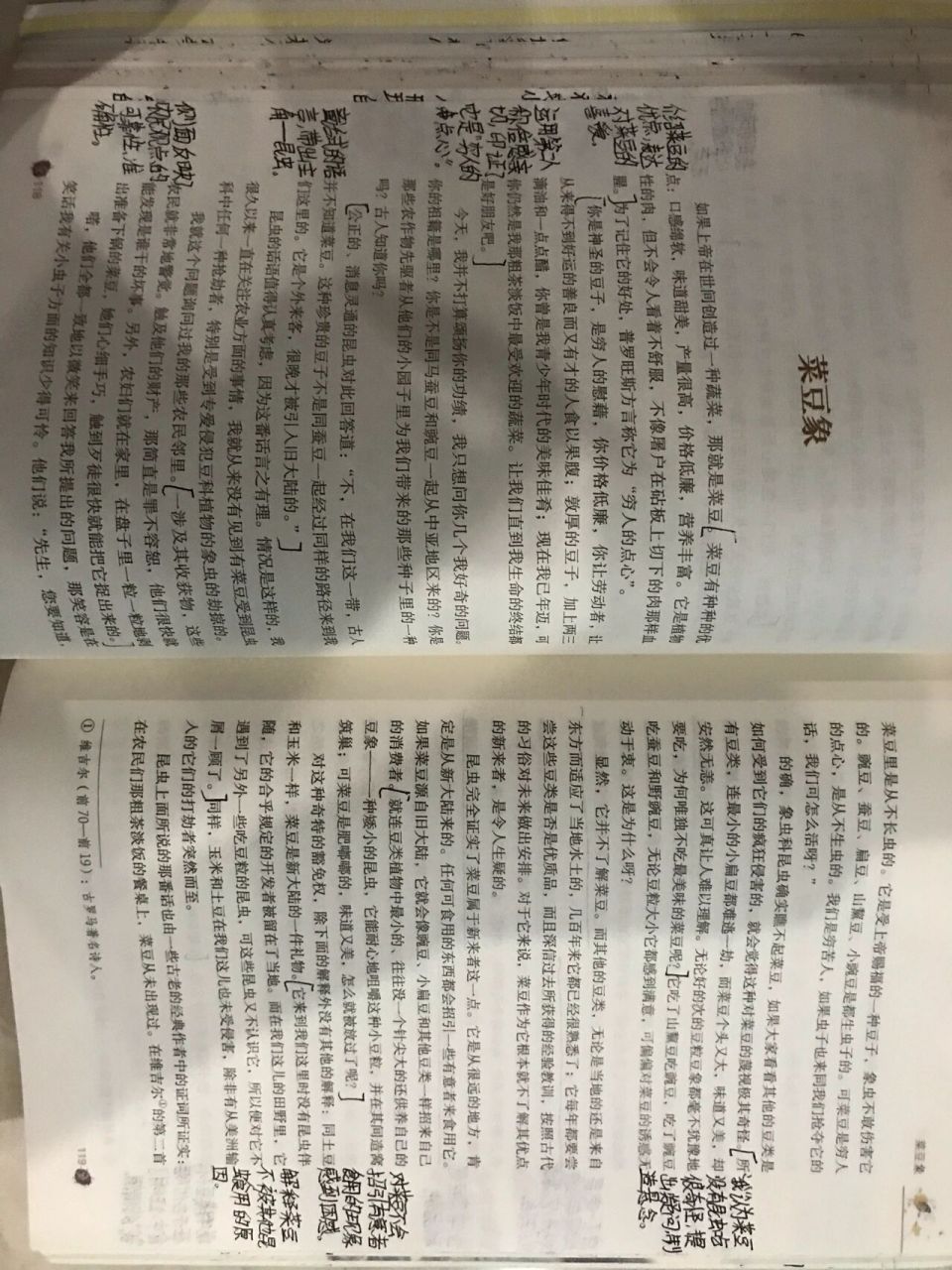 《昆虫记》菜豆象批注