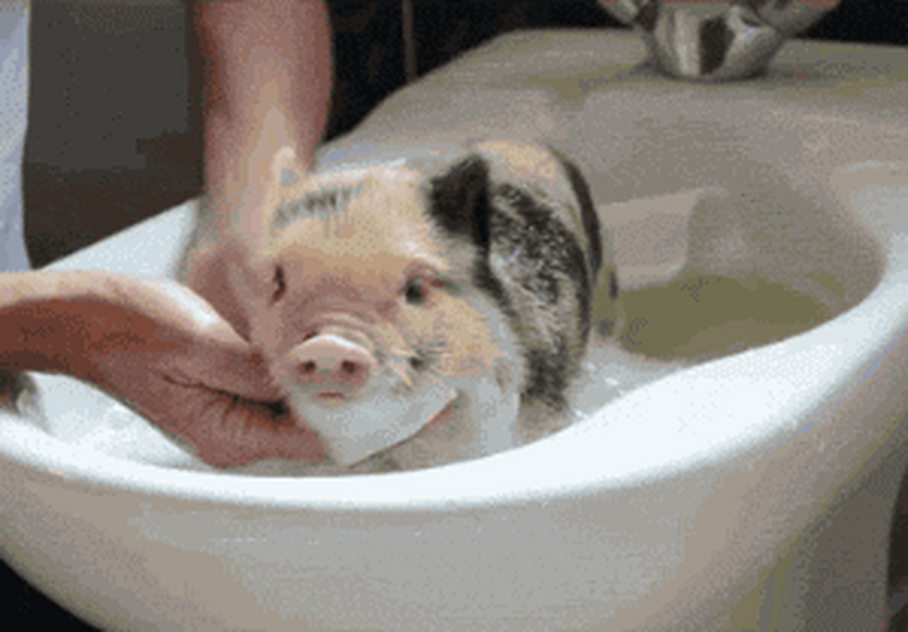 【洗澡后3分钟,涂身体乳的最佳时间】陆军军医大学西