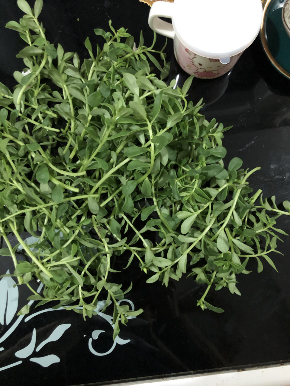 瓜子菜的功效和作用 瓜子菜即是马齿苋,性寒,味甘酸,可以清热消炎,是