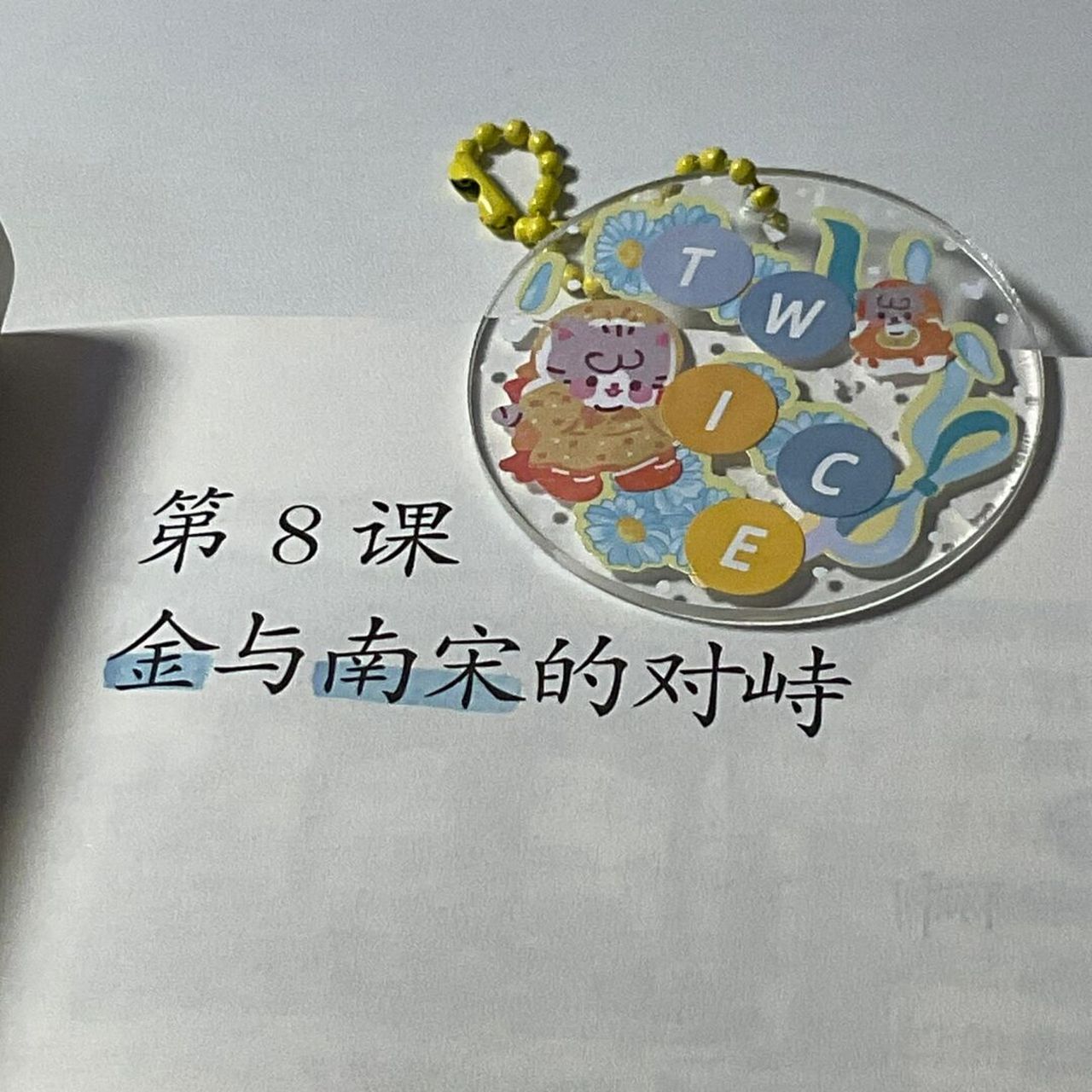 七下历史|第八课 金与南宋的对峙 #历史# #历史笔记