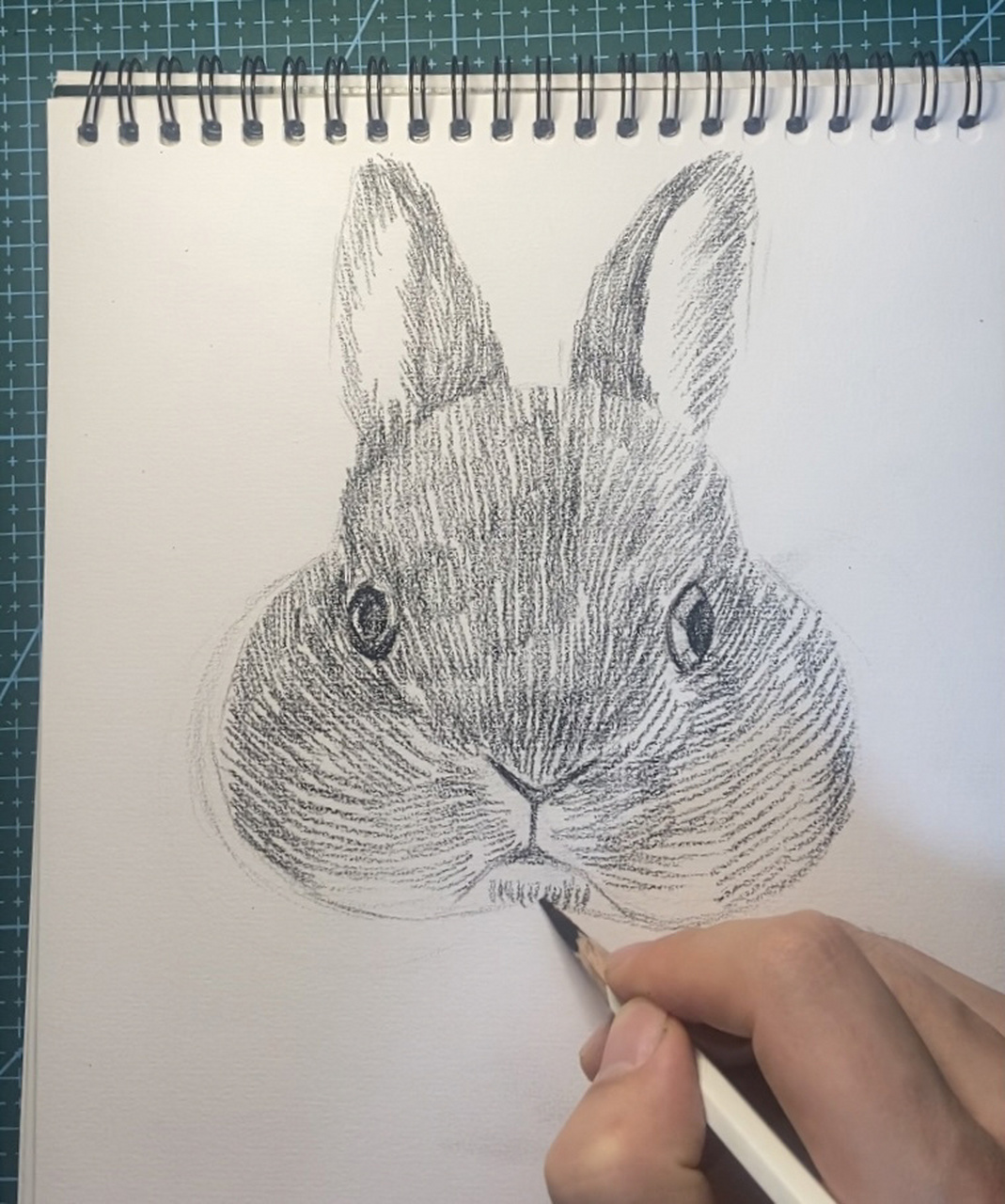 素描动物篇(肥兔)附详细过程图 速涂一只大肥兔!