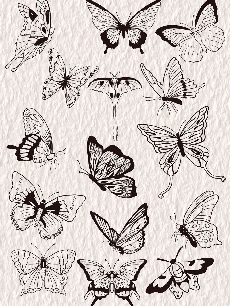 零基础学画画控笔练习-蝴蝶的各种形态 画画初学者线条练习之蝴蝶的