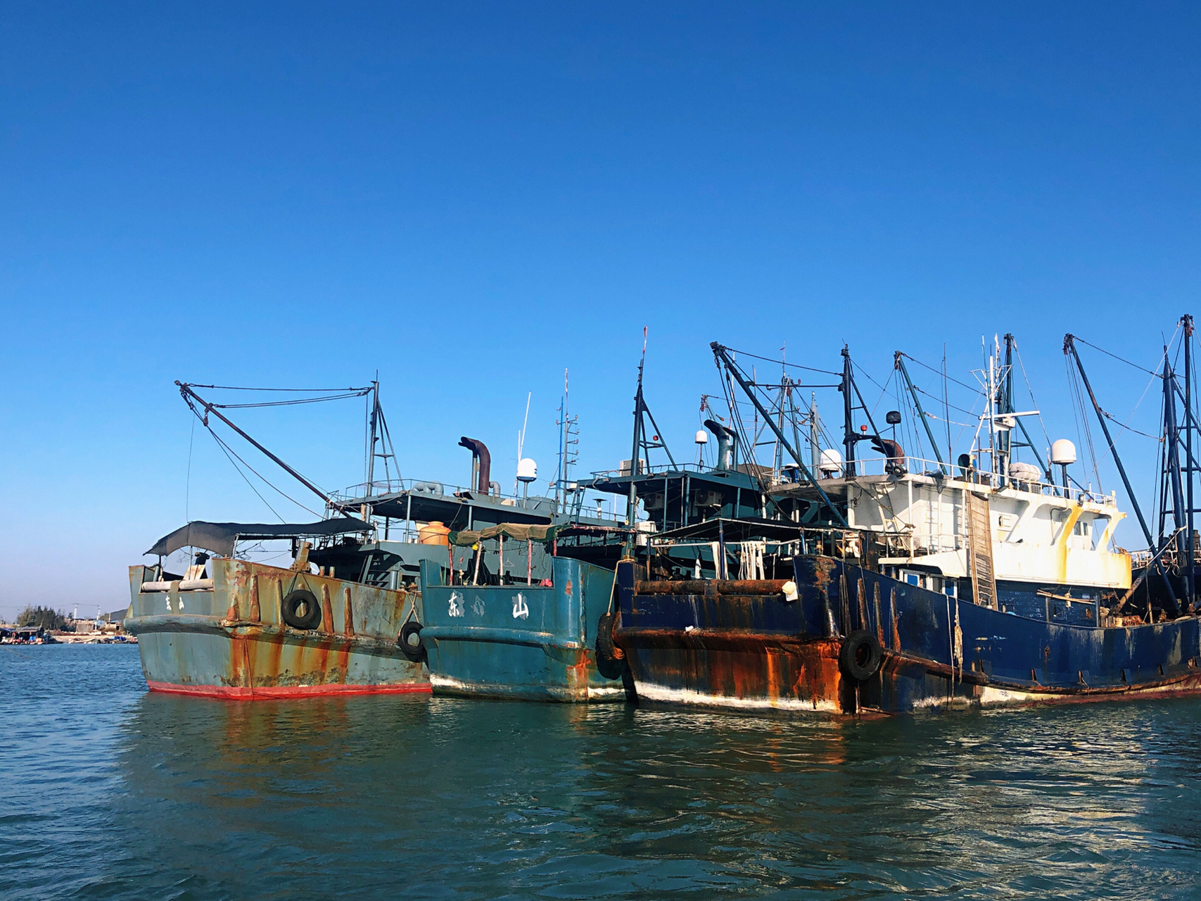 东山岛宫前码头渔船回来啦!快来买海鲜!