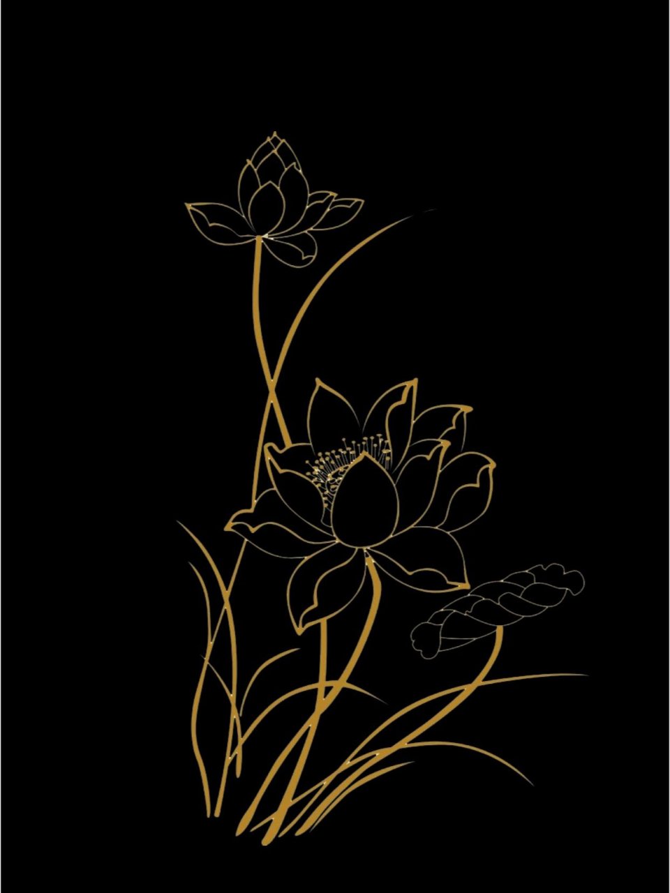 241  素材|金色荷花纹样 底图 png97 今天分享几组荷花纹样 底图