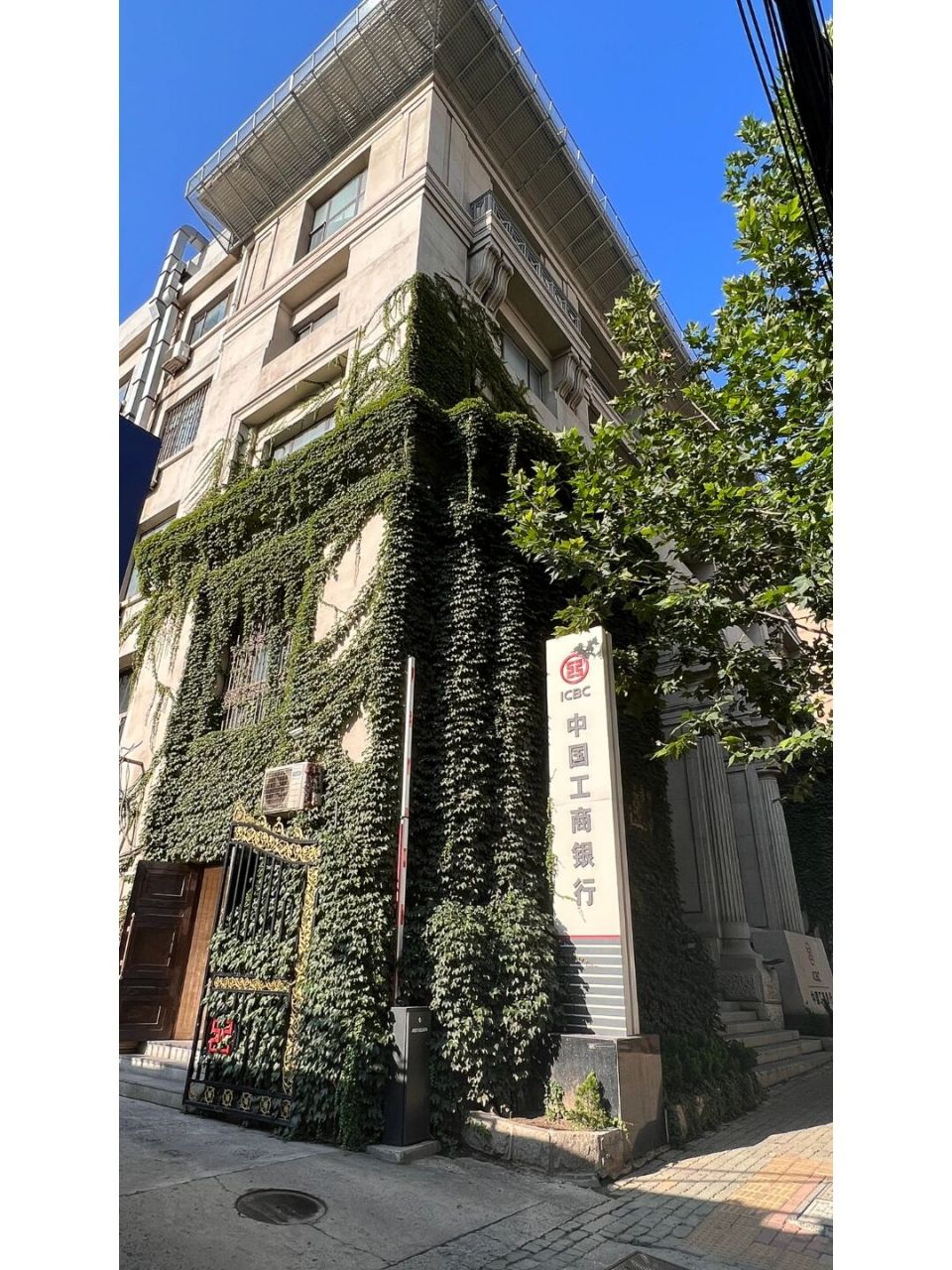 汇丰银行大连支店旧址 第一次被他吸引,是因为那满墙的爬墙虎～建筑