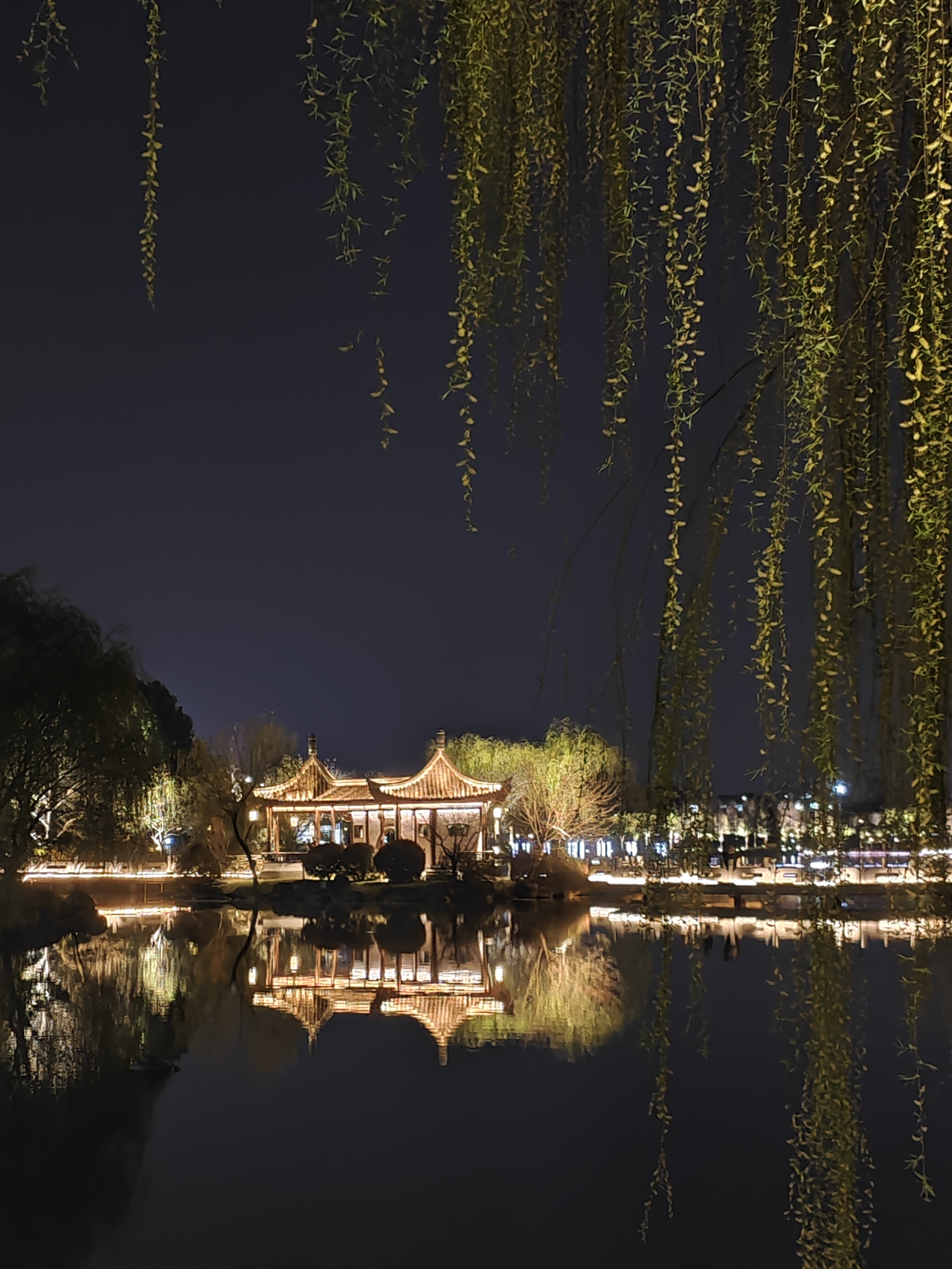 这么美的仁湖夜景,赶紧来享受一下!