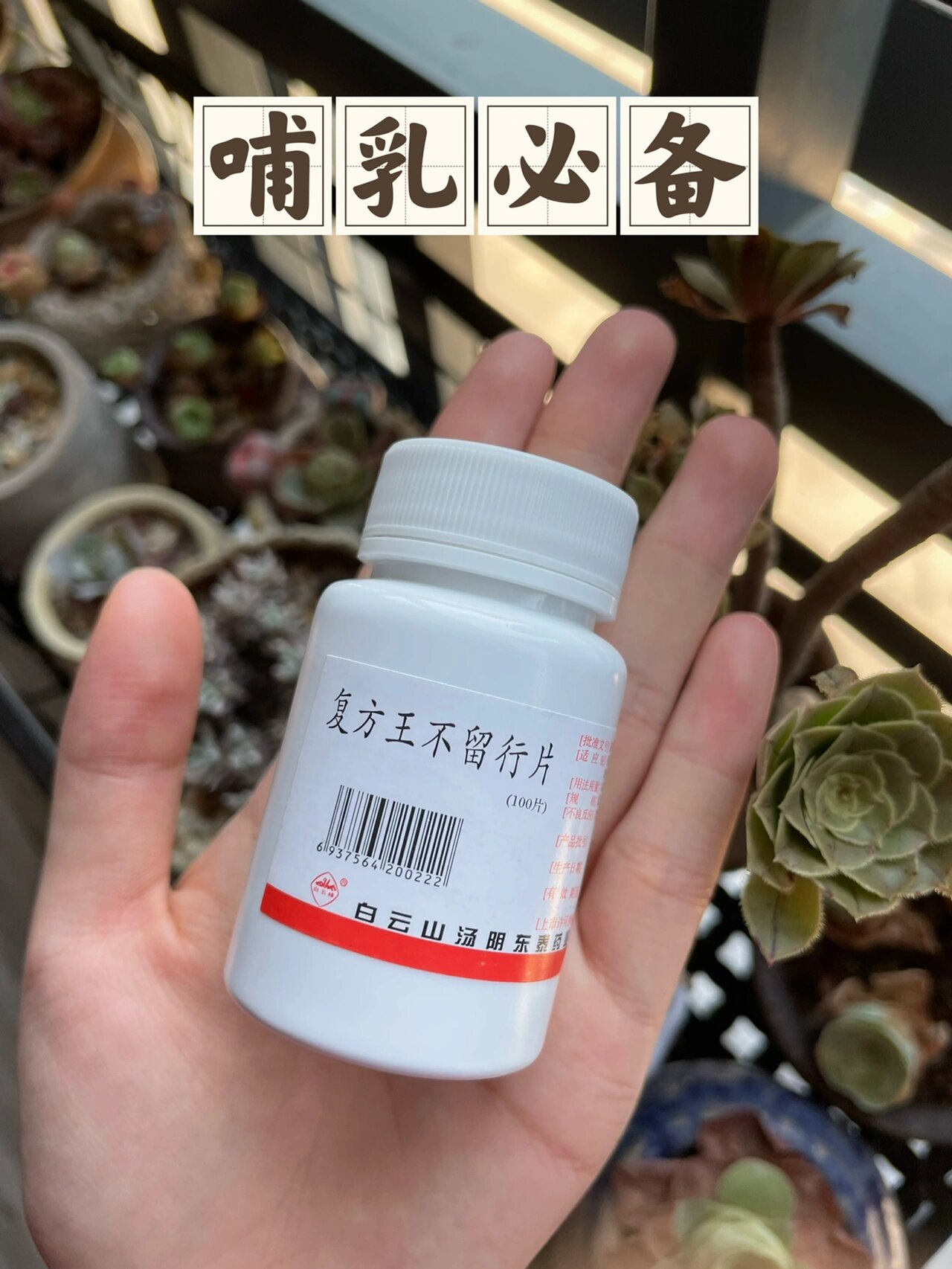 复方王不留行片图片图片