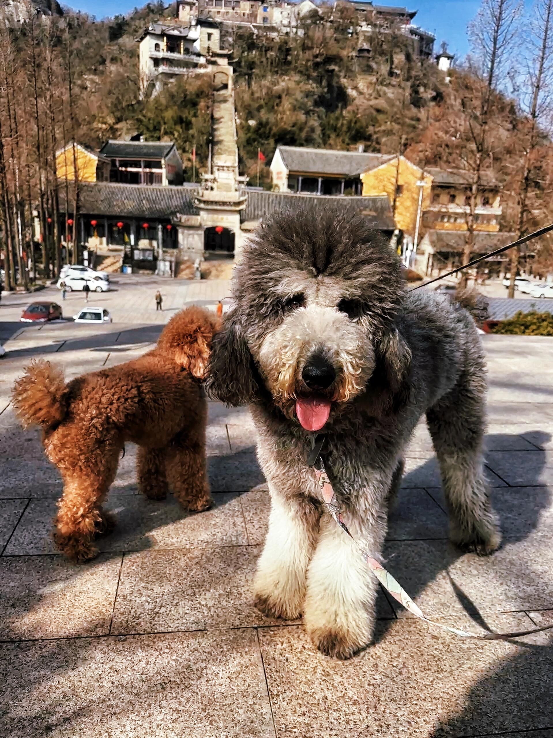 只见寺院不见山 武汉爬山好去处黄陂木兰山