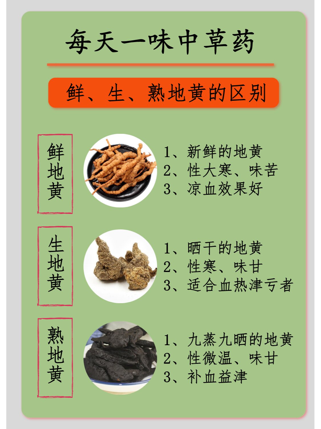 地黄怎么吃食用方法图片