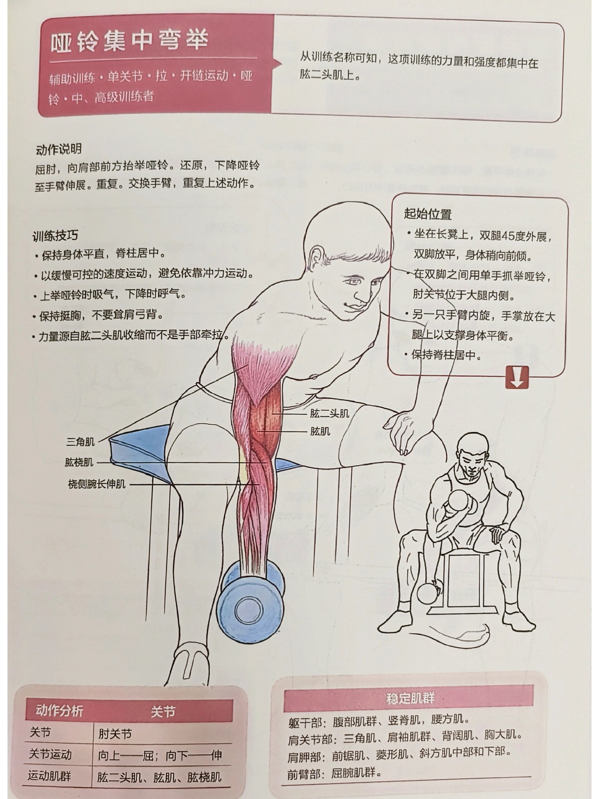 徒手小臂肌肉训练方法图片