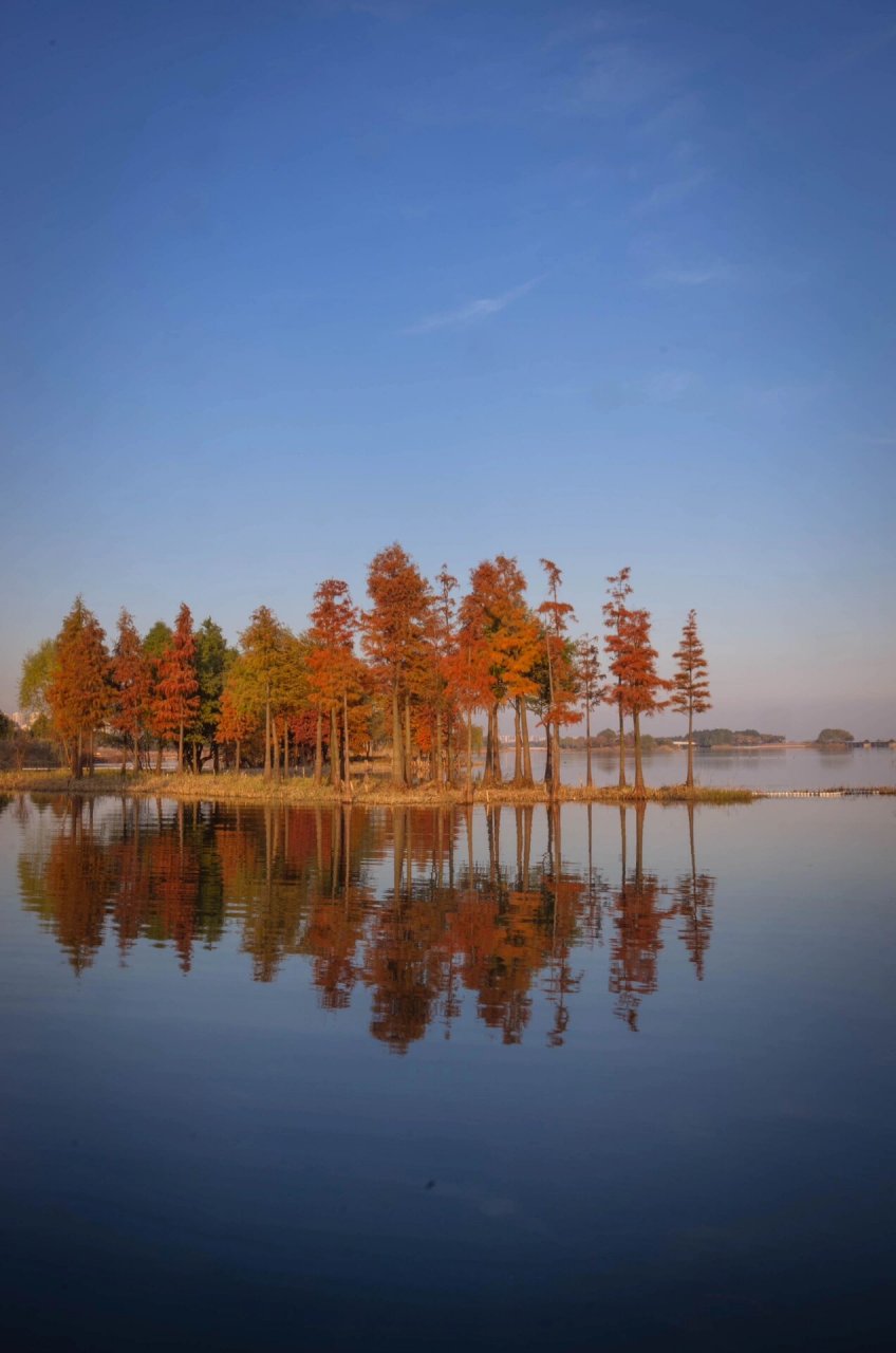 贡湖湾湿地公园面积图片