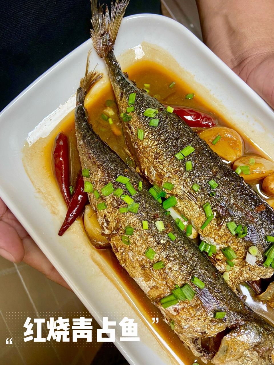 性价比超高又美味的海鲜96红烧青占鱼6015 青占鱼的营养价值