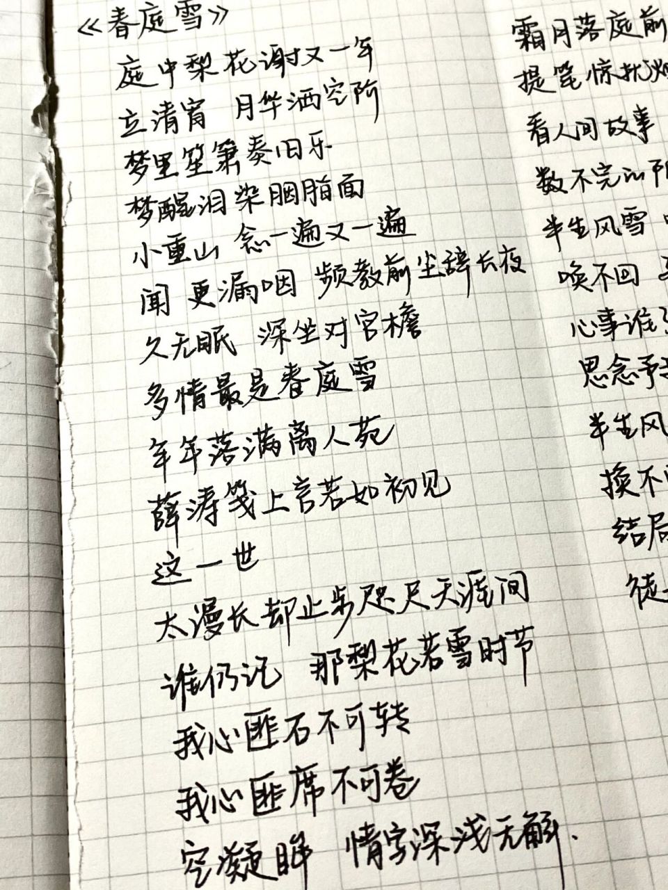 手写摘抄|歌词分享《春庭雪》&《半生雪》