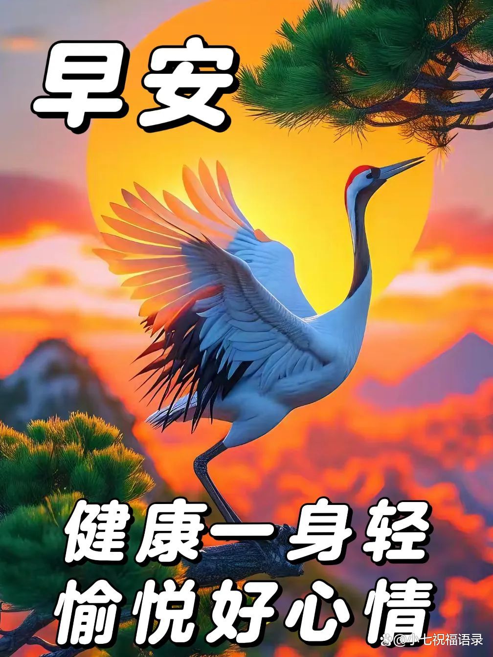 一句暖心的早上好,就像那初升的太阳,照亮你我
