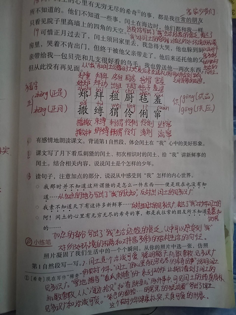 《少年闰土》课堂笔记图片