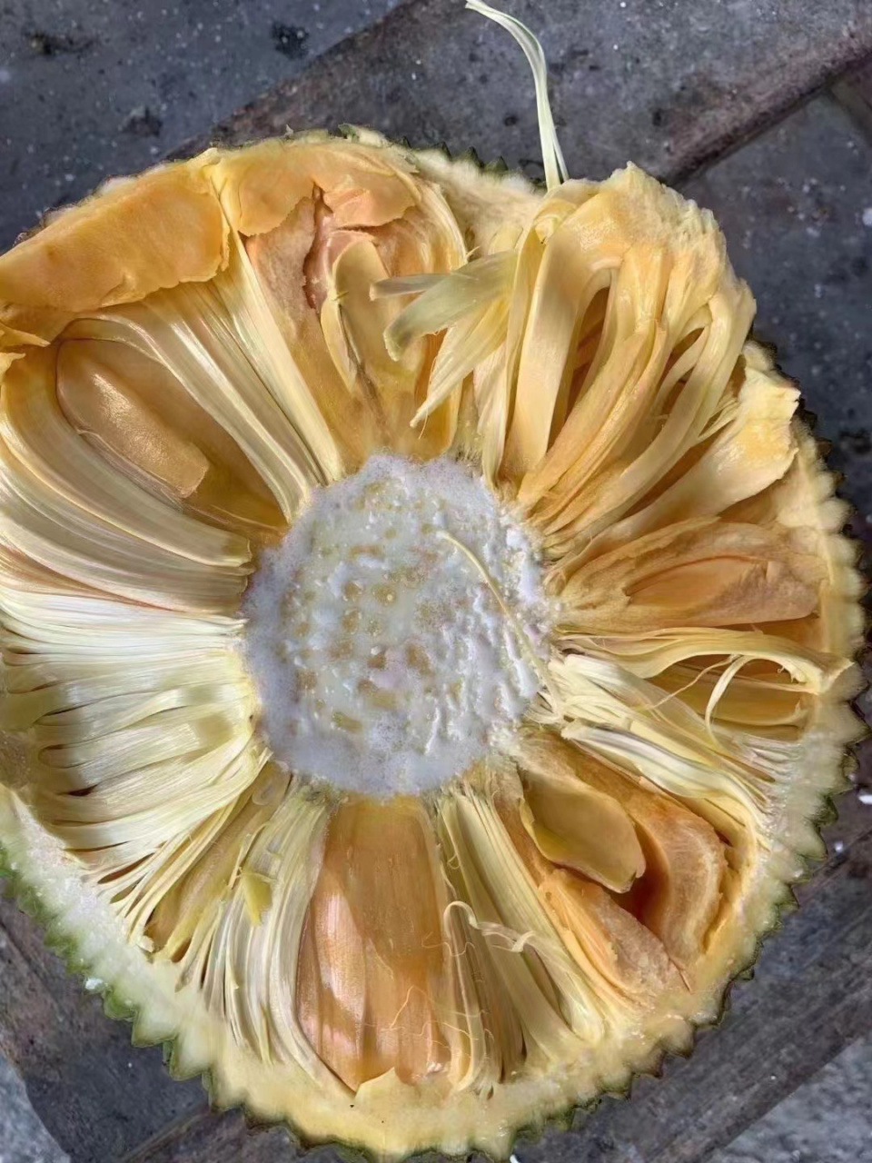 菠萝蜜你们吃干包还是湿包 01我站干包队,泰国越南的都9315又脆