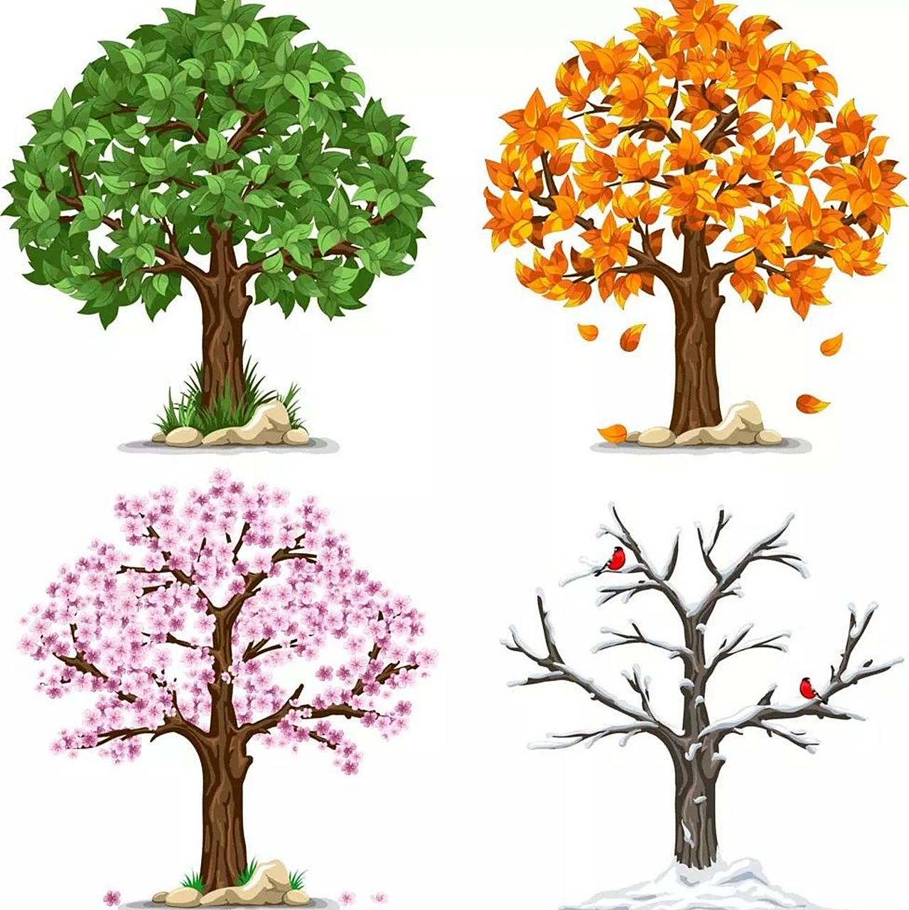 大班-绿野仙踪|不同季节的树 绘画素材.