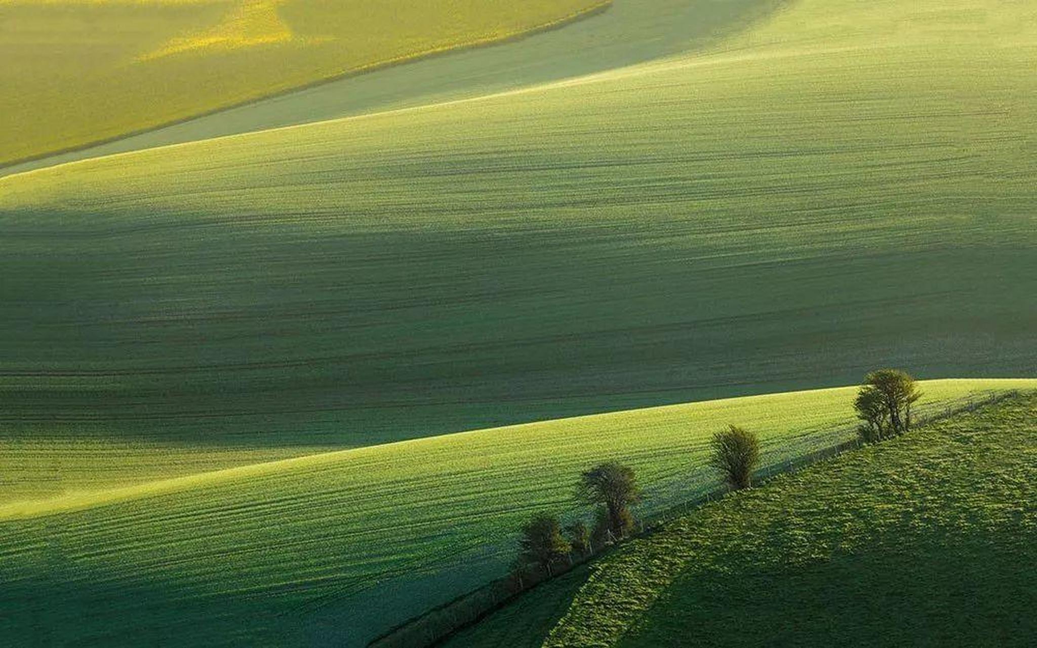 迅雷烈风,莫不蠢然.