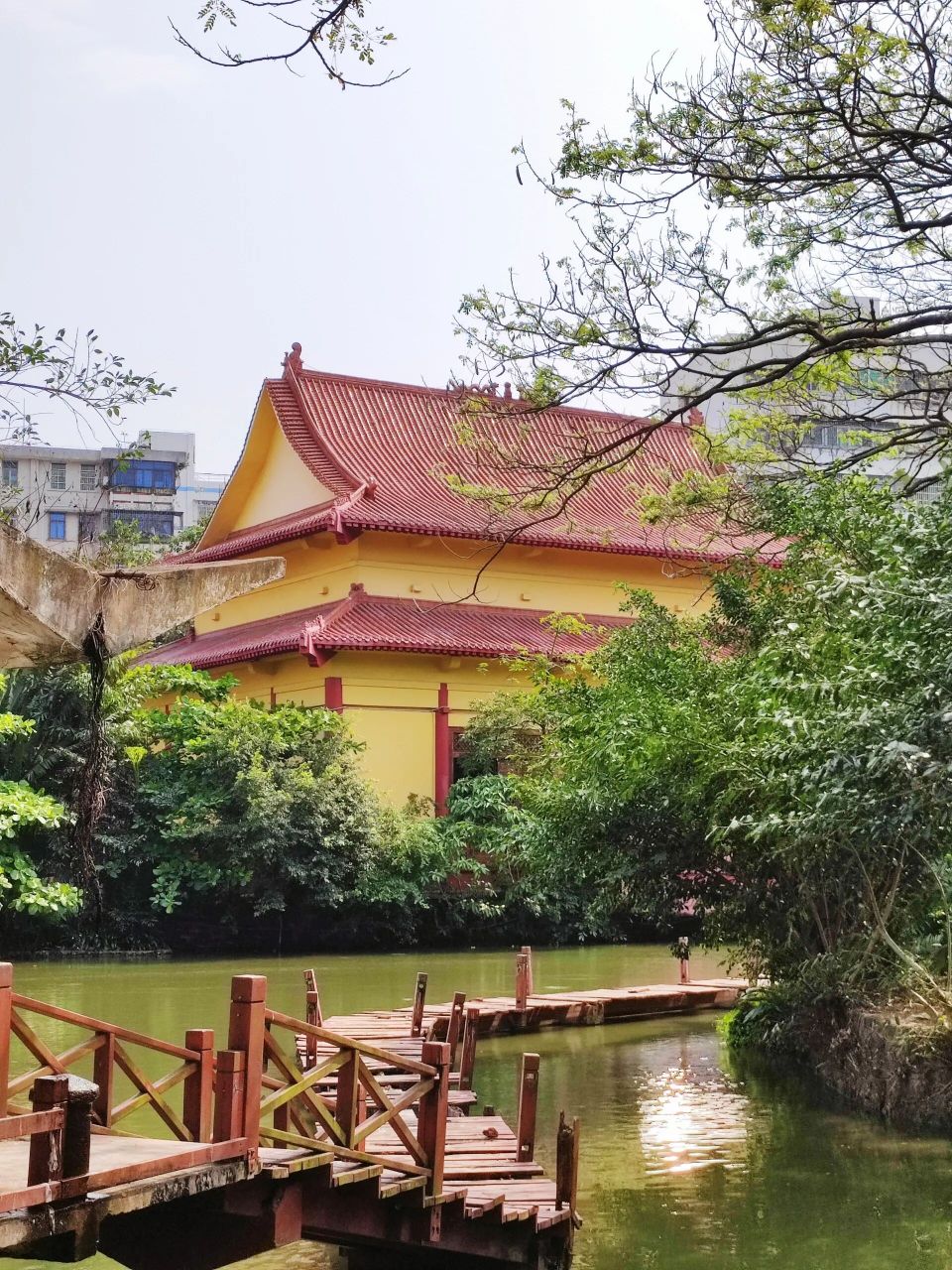 海口湖中寺|听说是zui灵验的寺庙 最近老是朋友们提起,说湖中寺很灵验