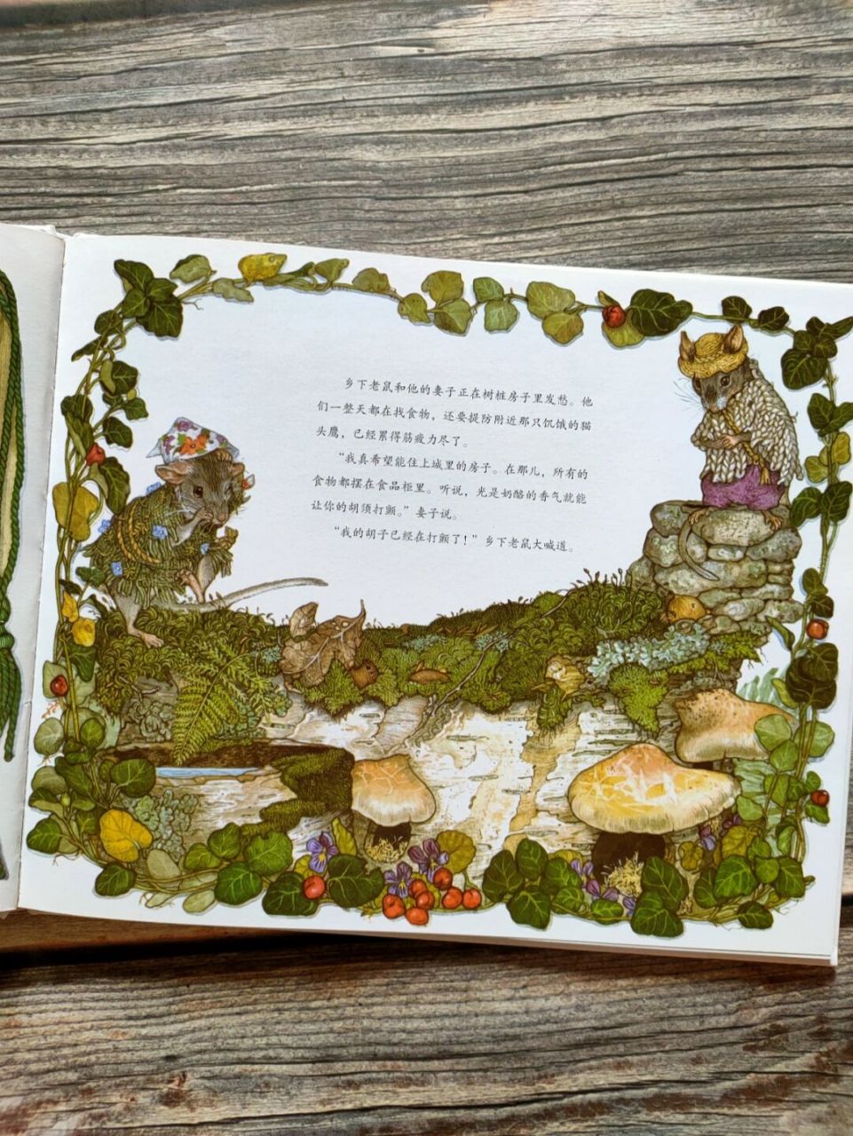 《乡下老鼠和城里老鼠》这个童话我好爱,所以收了起码有四个版本吧.