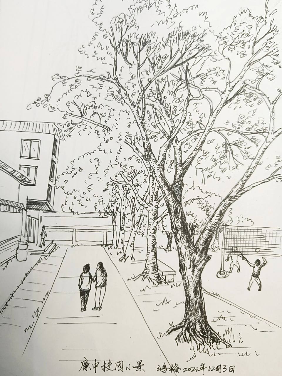 校园风景素描 坚持画身边的风景,提升写生能力.